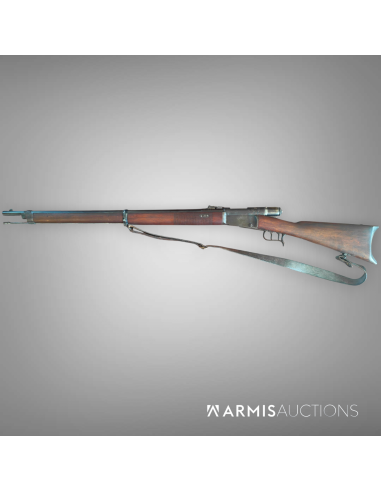Fusil d'infanterie	1871 Vetteli			6695