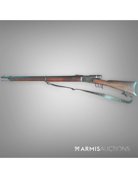 Fusil d'infanterie	1871 Vetteli			6695