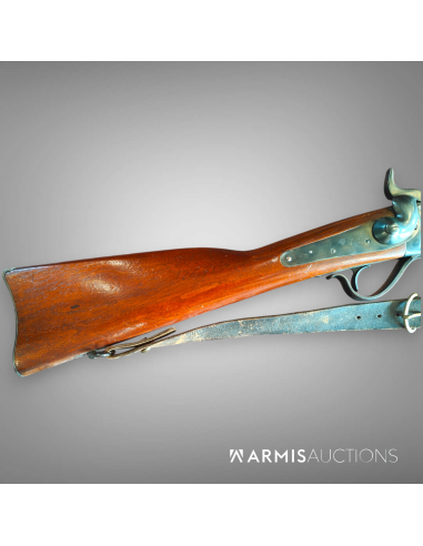 copy of copy of Fusil d'ordonnance 1867/77 Peabody