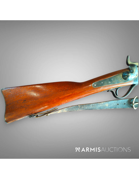 copy of copy of Fusil d'ordonnance 1867/77 Peabody