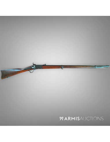 Kopie von Fusil d'ordonnance 1867/77 Peabody