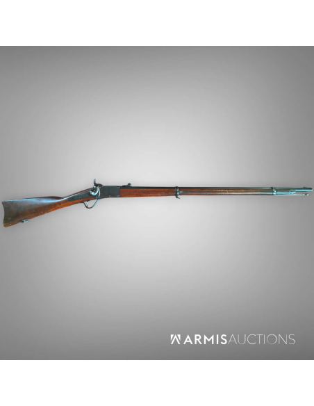 Kopie von Fusil d'ordonnance 1867/77 Peabody
