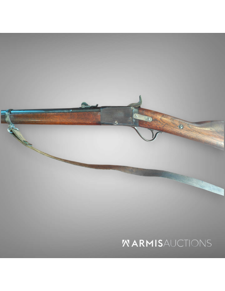 Fusil d'ordonnance 1867/77 Peabody