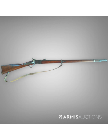 Fusil d'ordonnance 1867/77 Peabody