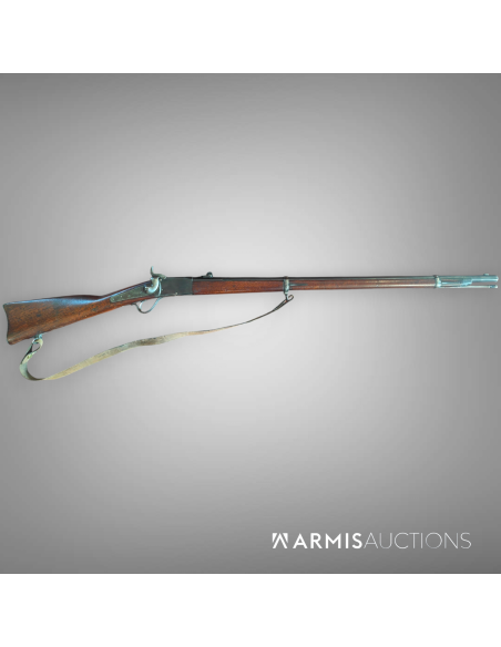 Fusil d'ordonnance 1867/77 Peabody