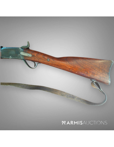 Fusil d'ordonnance 1867/77 Peabody