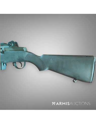 Fusil semi-automatique Springfield SOCOM 16