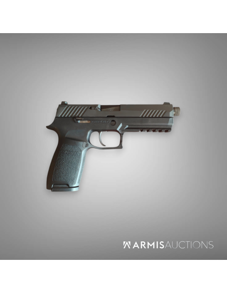 Pistolet semi-auto SIG P320 avec RdD MdC Wasp