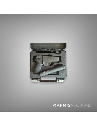 Pistolet semi-auto SIG P320 avec RdD MdC Wasp