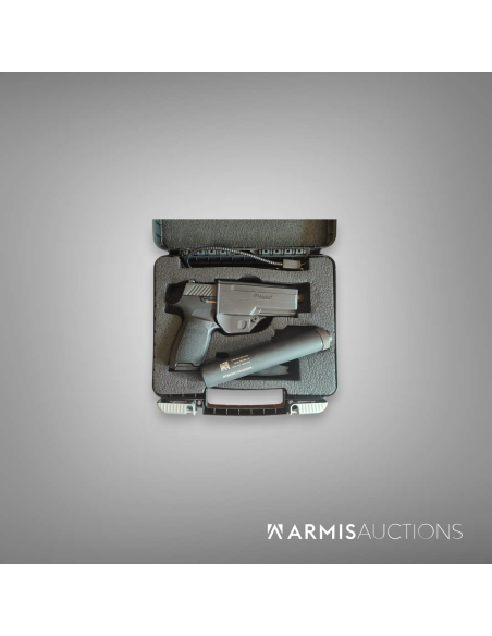 Pistolet semi-auto SIG P320 avec RdD MdC Wasp
