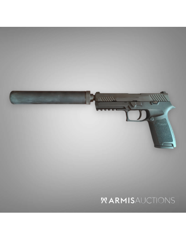 Pistolet semi-auto SIG P320 avec RdD MdC Wasp