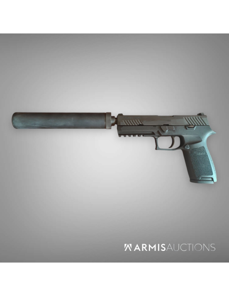 Pistolet semi-auto SIG P320 avec RdD MdC Wasp