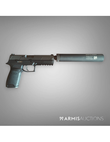 Pistolet semi-auto SIG P320 avec RdD MdC Wasp