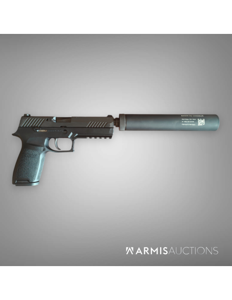 Pistolet semi-auto SIG P320 avec RdD MdC Wasp