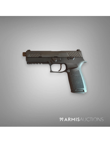 Pistolet semi-auto SIG P320 avec RdD MdC Wasp