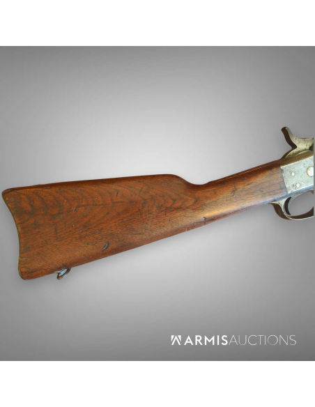 Carabine de cavalerie	Remington Rolling Block 1867