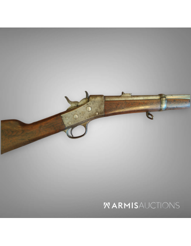 Carabine de cavalerie	Remington Rolling Block 1867