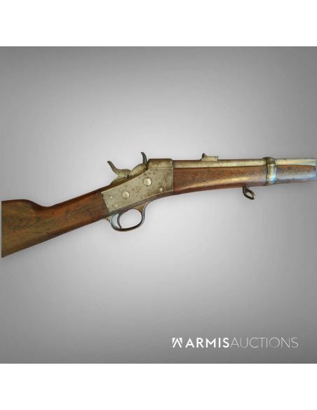 Carabine de cavalerie	Remington Rolling Block 1867