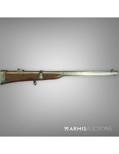 Carabine de cavalerie	Remington Rolling Block 1867