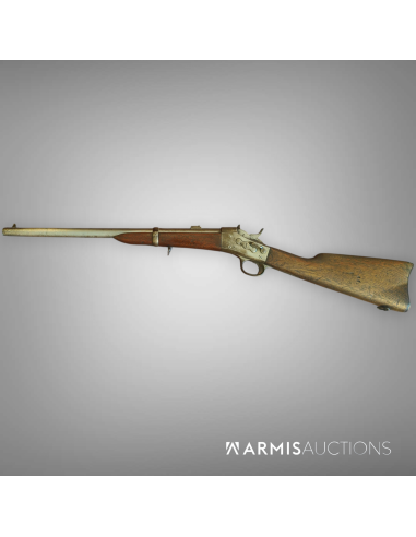 Carabine de cavalerie	Remington Rolling Block 1867