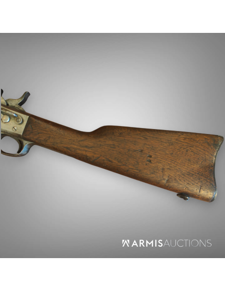 Carabine de cavalerie	Remington Rolling Block 1867