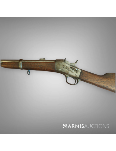 Carabine de cavalerie	Remington Rolling Block 1867