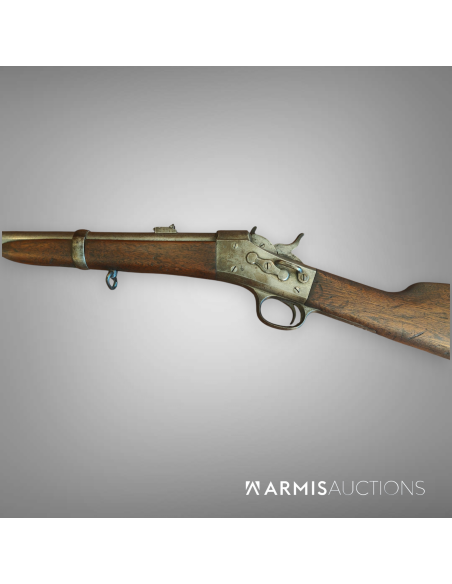 Carabine de cavalerie	Remington Rolling Block 1867