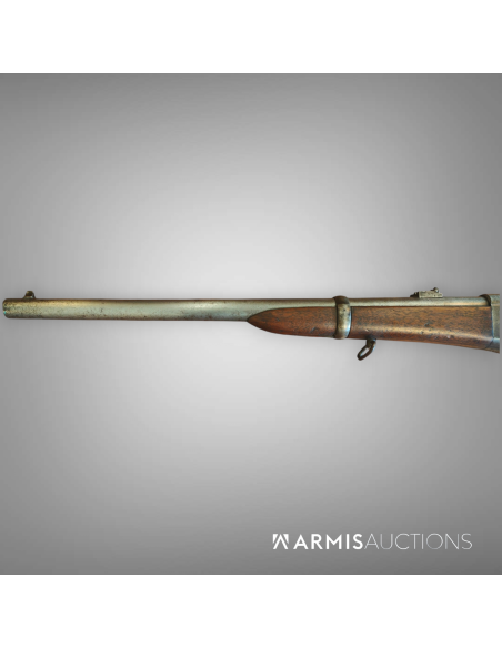 Carabine de cavalerie	Remington Rolling Block 1867