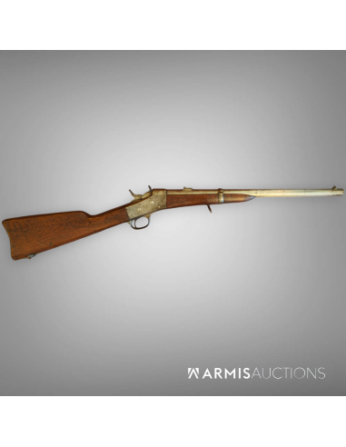 Carabine de cavalerie	Remington Rolling Block 1867