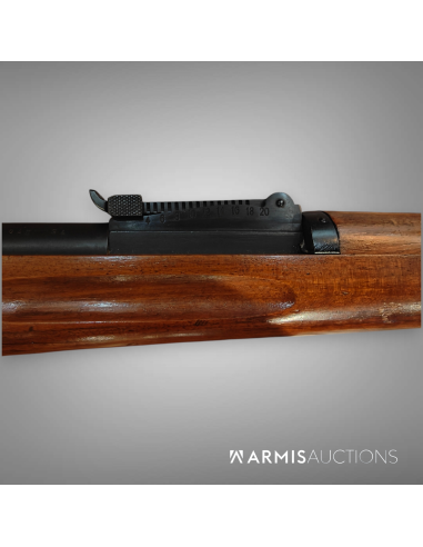 Fusil d'infanterie d'essai W+F 1908