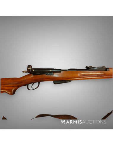 Fusil d'infanterie d'essai W+F 1908