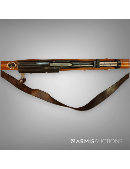 Fusil d'infanterie d'essai W+F 1908