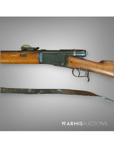 Carabine d'ordonnance à répétition Vetterli Waffenfabrik Bern 1881