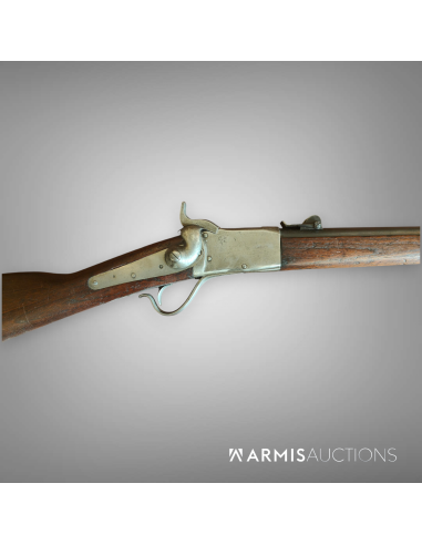 Fusil d'ordonnance 1867/77 Peabody
