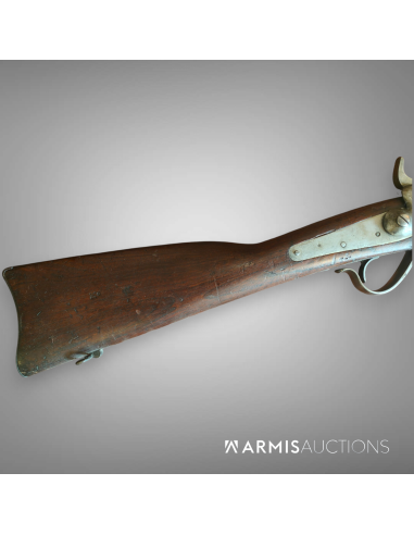 Fusil d'ordonnance 1867/77 Peabody