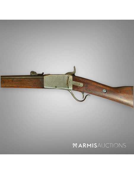Fusil d'ordonnance 1867/77 Peabody
