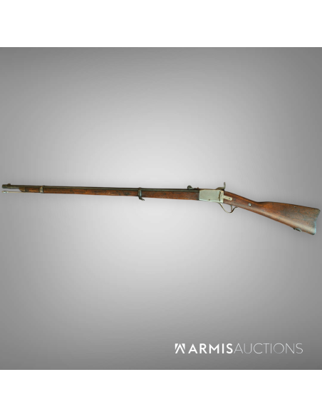 Fusil d'ordonnance 1867/77 Peabody