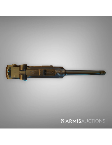 Pistolet semi-automatique d'ordonnance DWM 1900