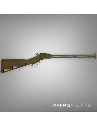 Carabine de survie Springfield Armory M6 Scout