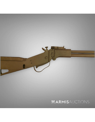 Carabine de survie Springfield Armory M6 Scout