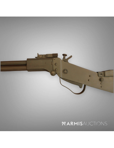 Carabine de survie Springfield Armory M6 Scout