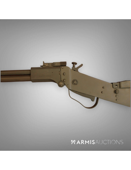 Carabine de survie Springfield Armory M6 Scout