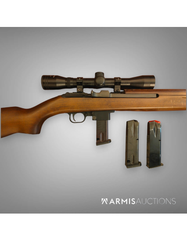 Carabine semi-automatique Chiappa M1 9 avec lunette