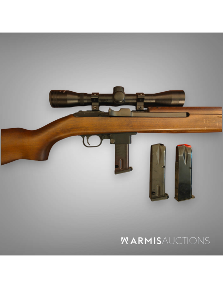 Carabine semi-automatique Chiappa M1 9 avec lunette