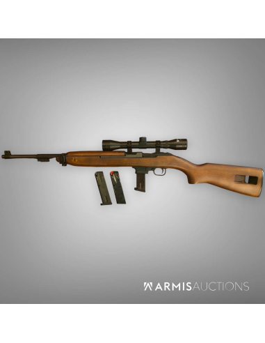 Carabine semi-automatique Chiappa M1 9 avec lunette