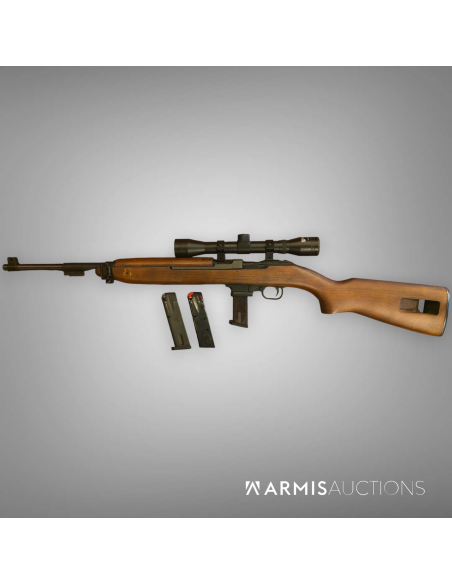 Carabine semi-automatique Chiappa M1 9 avec lunette
