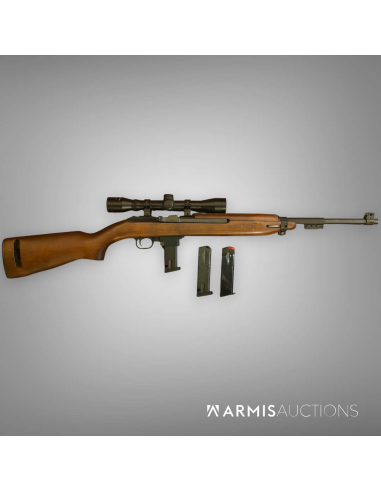 Carabine semi-automatique Chiappa M1 9 avec lunette