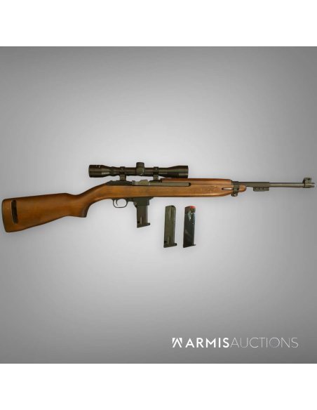Carabine semi-automatique Chiappa M1 9 avec lunette