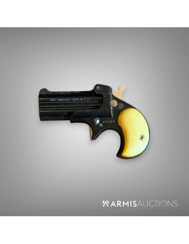 Derringer Davis D-22