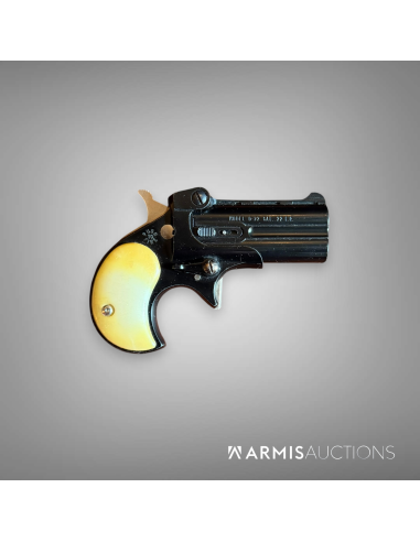Derringer Davis D-22